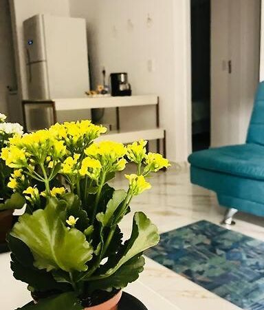 Apartamento No Andar Terreo Foz do Iguaçu Eksteriør bilde